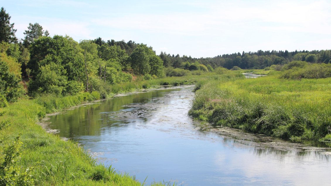 Ejecutivos de sanitaria Essal fueron formalizados por contaminación de río en Los Lagos