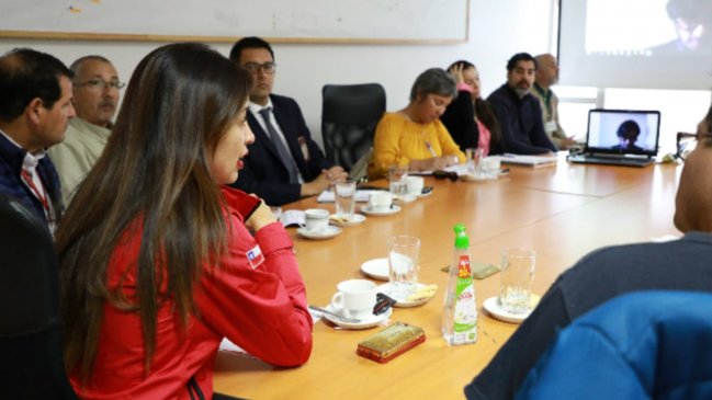 Constituyen mesa para abordar emergencia con insectos en Antofagasta tras quema de abejas