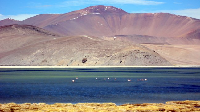 Suprema ratificó sanción a empresa canadiense Kinross por desecamiento de humedal en Atacama