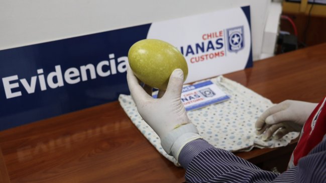 Iquique: Mujer fue descubierta trasladando un huevo de ñandú oculto entre su equipaje