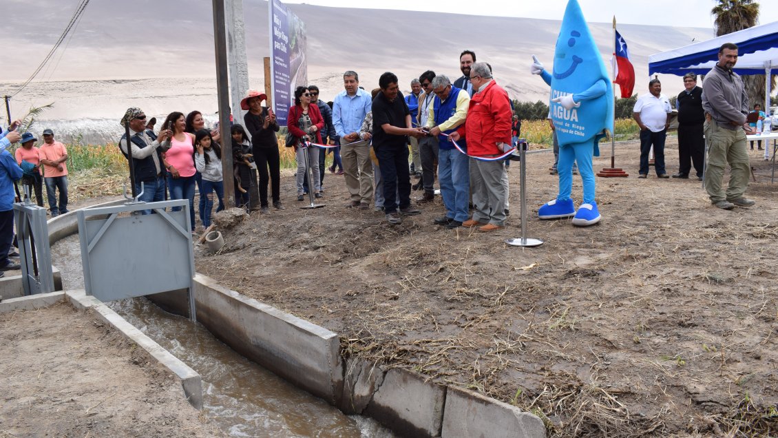 Mejoramiento del canal Chacabuco potenciará la agricultura del valle de Lluta