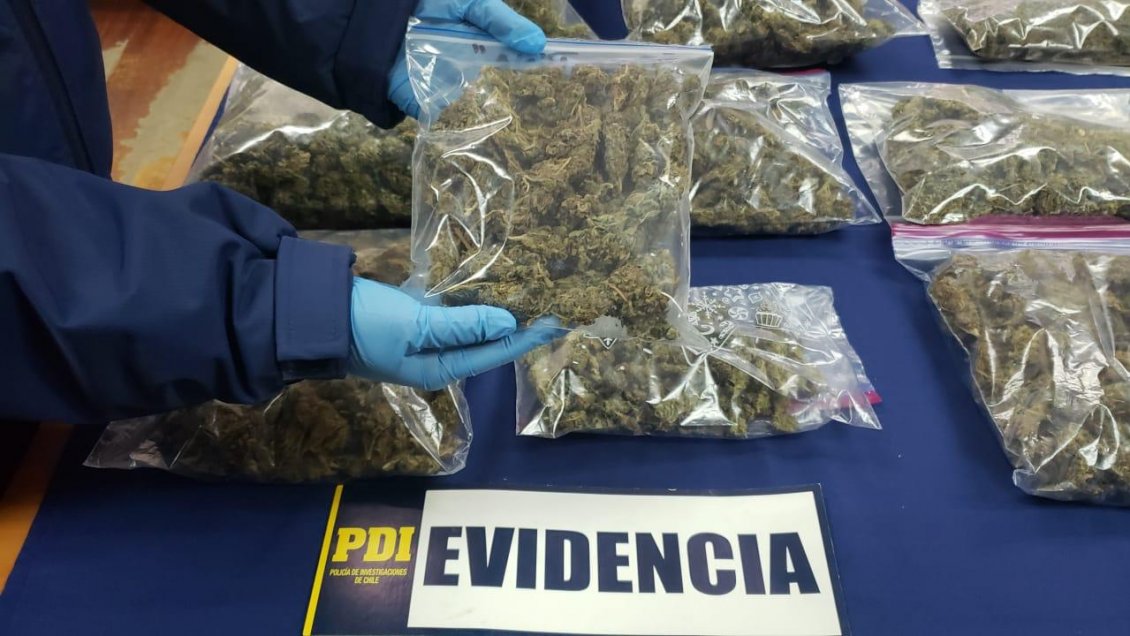 Detienen a dos individuos que distribuían marihuana en Rancagua
