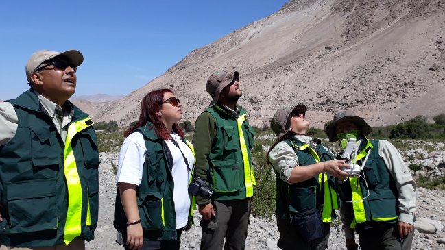 Con la ayuda de un dron Conaf realizó operativo de fiscalización forestal en Arica