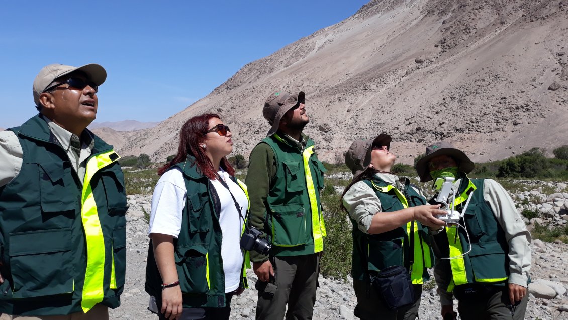 Con la ayuda de un dron Conaf realizó operativo de fiscalización forestal en Arica