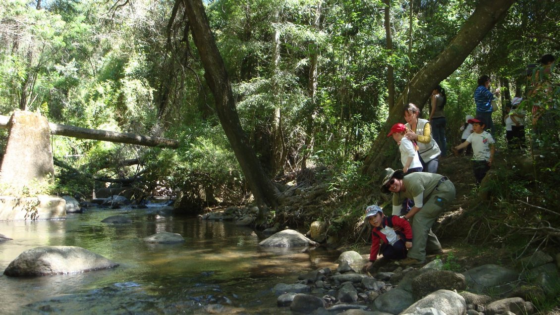 Concepción: Cierre temporal afectará a la Reserva Nacional Nonguén