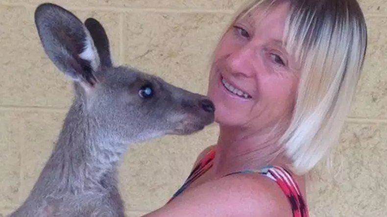 Canguro atacó a la familia que lo cuidaba y los mandó al hospital