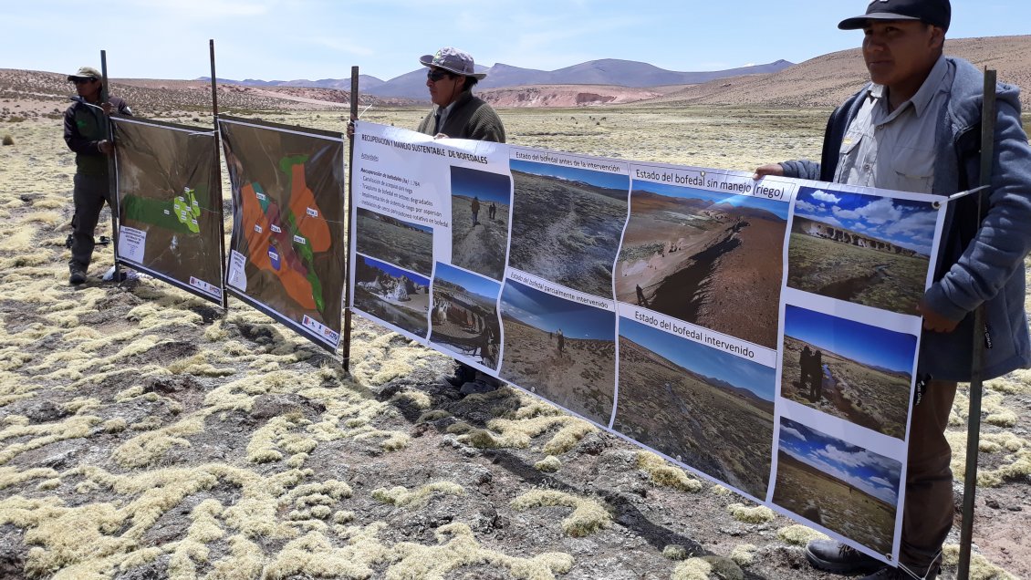 Banco Mundial visitó Putre para revisar avances en el proyecto Manejo Sustentable