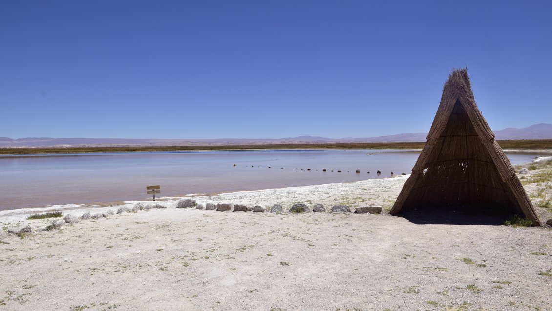 Juzgado ordenó al Estado transferir las Lagunas Cejar y Piedra a la Comunidad Atacameña Solor