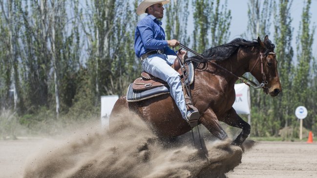Paraguayo Junior Olmedo ganó prueba de Rienda en 20° Campeonato Ecuestre Criadero Los Cóndores