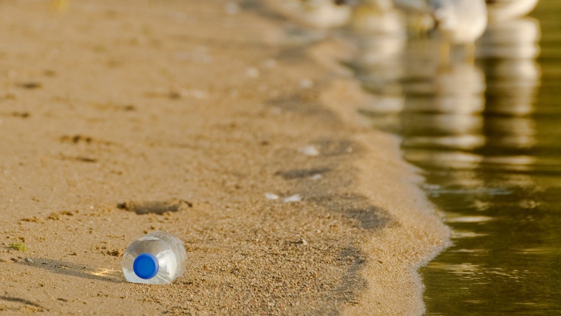 Una decena de plásticos diferentes ya llegó al intestino humano