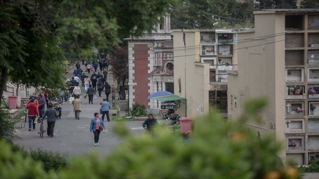 Viña del Mar: Seremi de Salud inició sumario tras hallazgo de mano en cercanías de cementerio