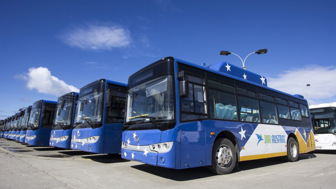 En noviembre comenzará nueva ruta de buses en Punta Arenas