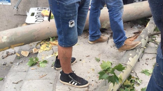 Caída de árbol dejó a un niño en coma por siete días