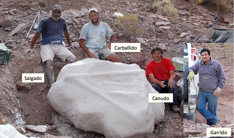 Imagen foto_00000031