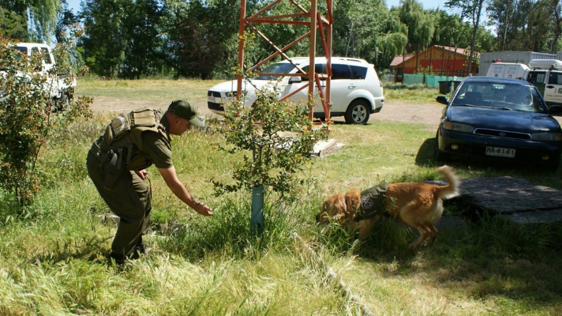 Brigada canina y fiscales especializados trabajarán en temporada de incendios forestales