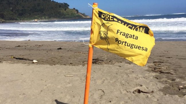 Se terminó la alerta por fragata portuguesa en playa de Lebu