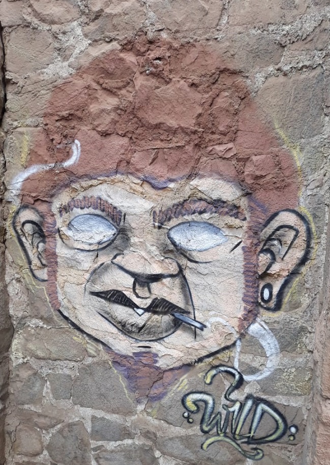 Imagen foto_00000007