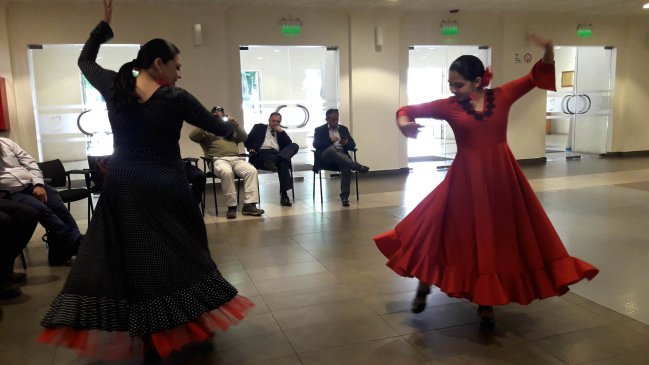 Trece academias participarán en undécimo Encuentro Nacional de Danza en Chillán