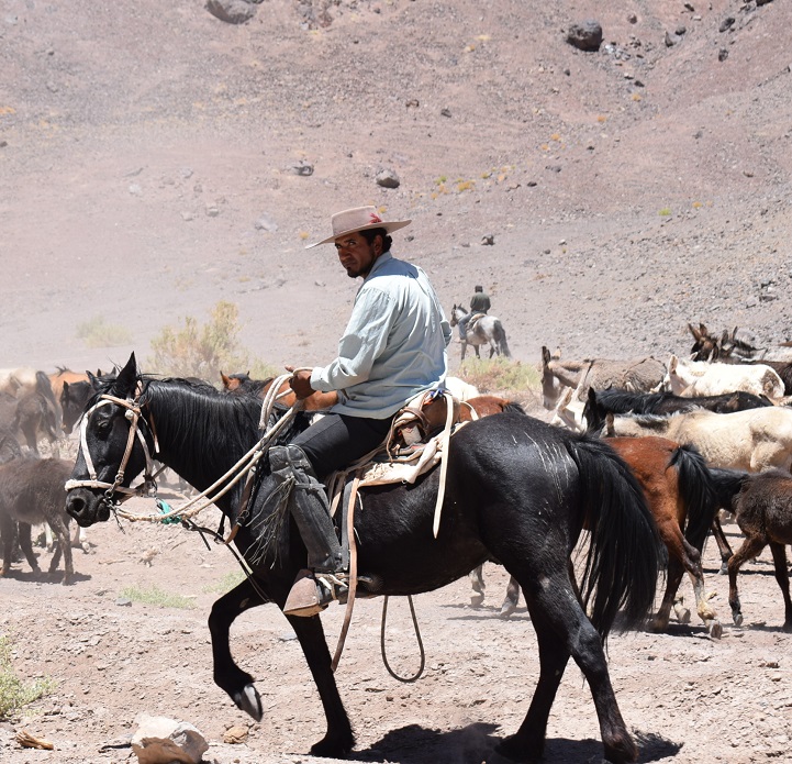 Imagen foto_00000018