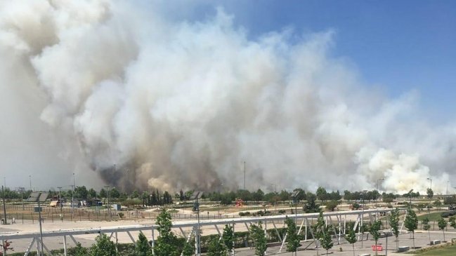 Gigantesco incendio afectó al Parque Bicentenario en Cerrillos