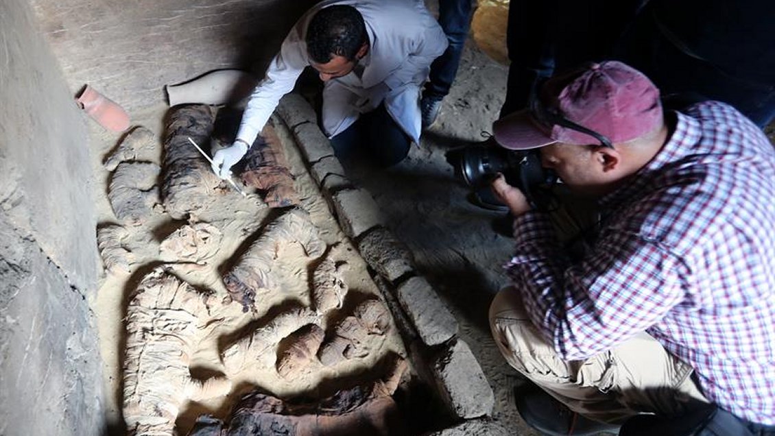 Egipto anunció el descubrimiento de decenas de momias de gatos