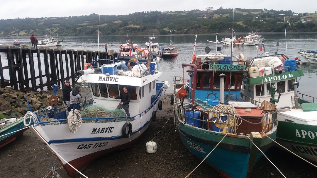 Destinarán recursos para diseño de puente sobre el Canal Dalcahue