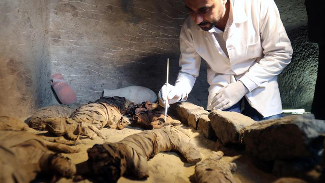 Arqueólogos descubrieron decenas de momias de gatos en una antigua tumba egipcia