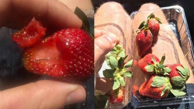 Australia: Mujer fue detenida acusada de poner agujas en frutillas y arriesga 10 años de cárcel