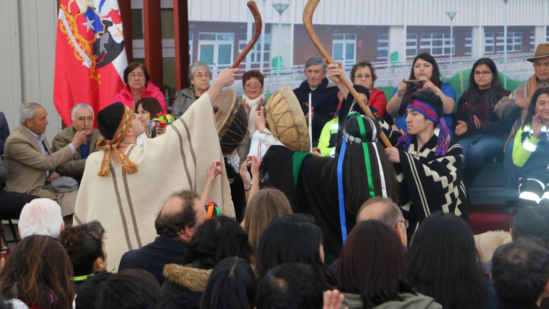 Especialistas en salud mapuche participarán en seminario de la Región de Los Ríos
