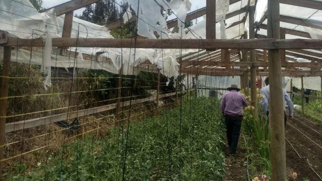 Senador UDI pidió decretar emergencia agrícola en la Región de O'Higgins