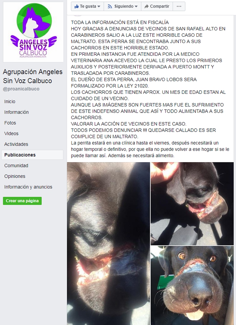 Imagen foto_00000031