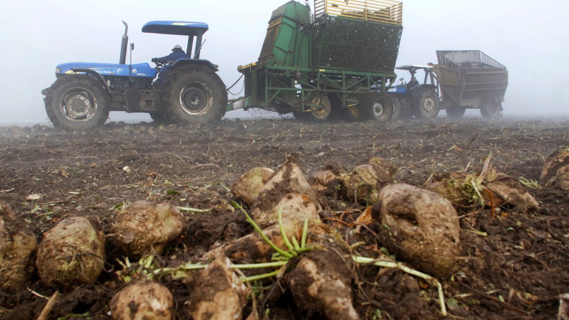 Ñuble: Pequeños y medianos agricultores fueron capacitados en normas de legislación laboral