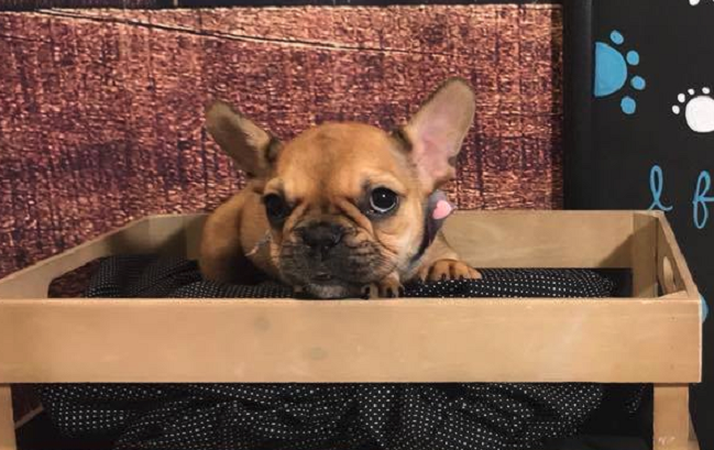 Imagen foto_00000002