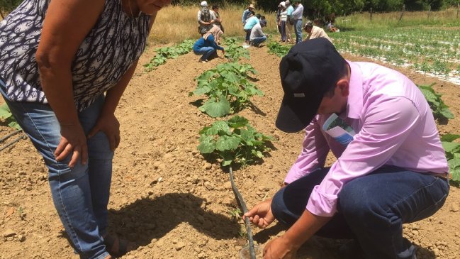 Capacitaron a pequeños agricultores de Ñuble en uso eficientemente de equipos de riego