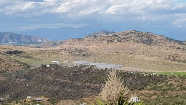 Incendio forestal afectó a cerro El Callén en Coinco