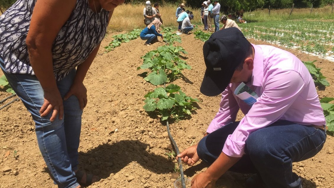 Capacitaron a pequeños agricultores de Ñuble en uso eficientemente de equipos de riego