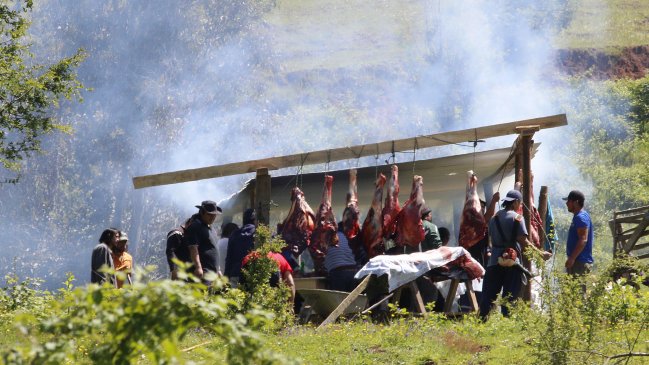 Gobierno: Camilo Catrillanca sí tiene antecedentes policiales, pero no penales