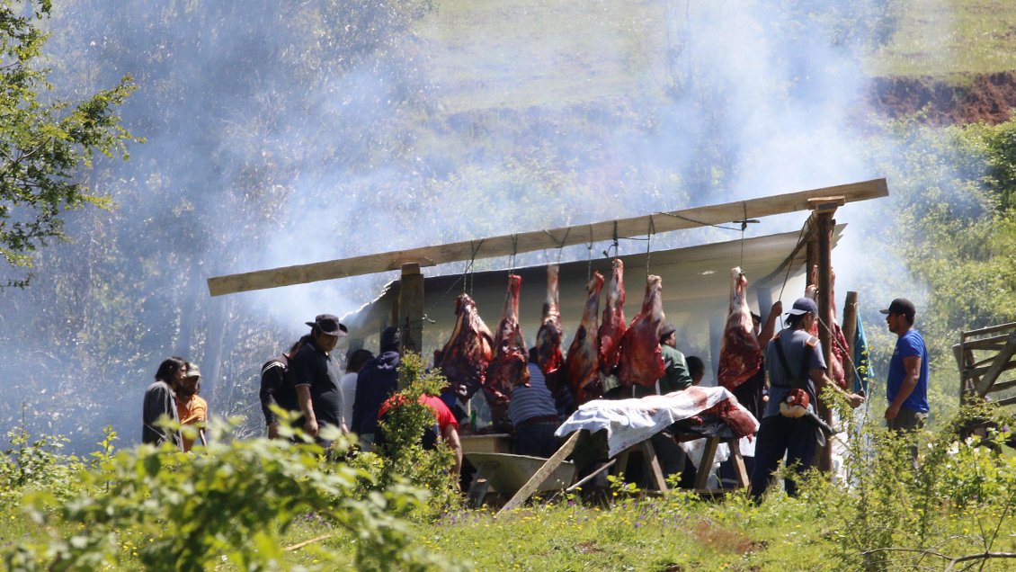 Gobierno: Camilo Catrillanca sí tiene antecedentes policiales, pero no penales
