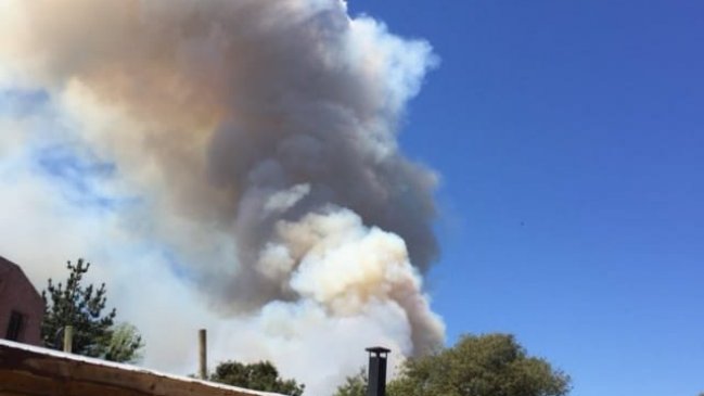 Declaran alerta roja comunal para Valparaíso por incendio forestal