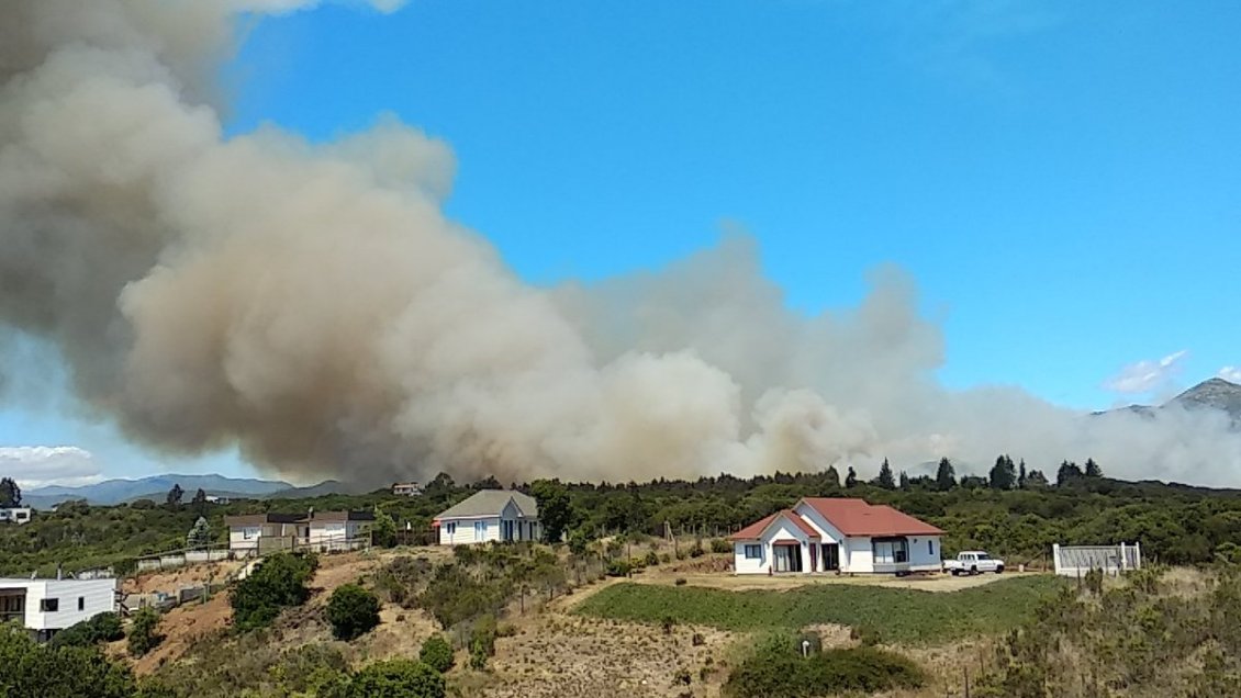 Declaran alerta roja para Quintero por incendio forestal en Mantagua