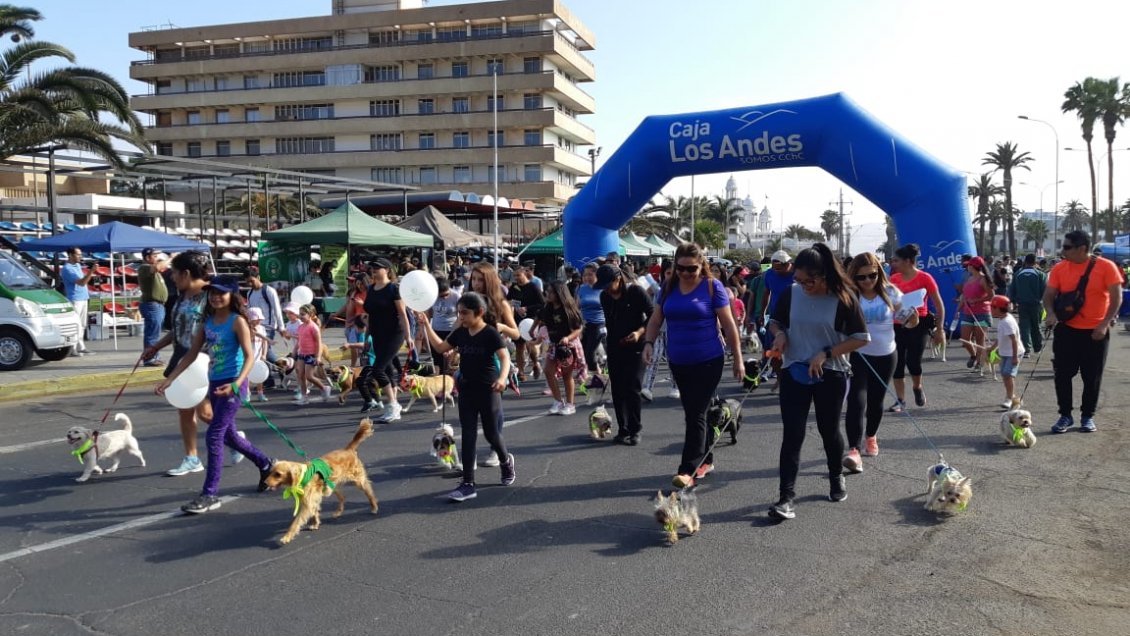 Arica y Parinacota: Familias participaron en la primera caminata perruna de Carabineros