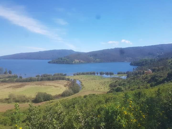 Grupo Angelini trabaja en acuerdo indemnizatorio por tierras que debe devolver a comunidad mapuche