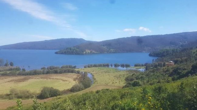 Grupo Angelini trabaja en acuerdo indemnizatorio por tierras que debe devolver a comunidad mapuche