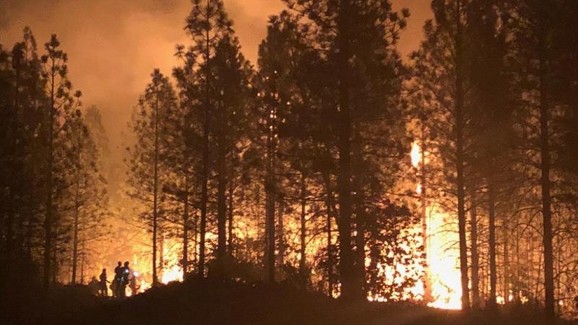 EEUU: Gobierno responsabiliza a grupos ecologistas por incendios en California