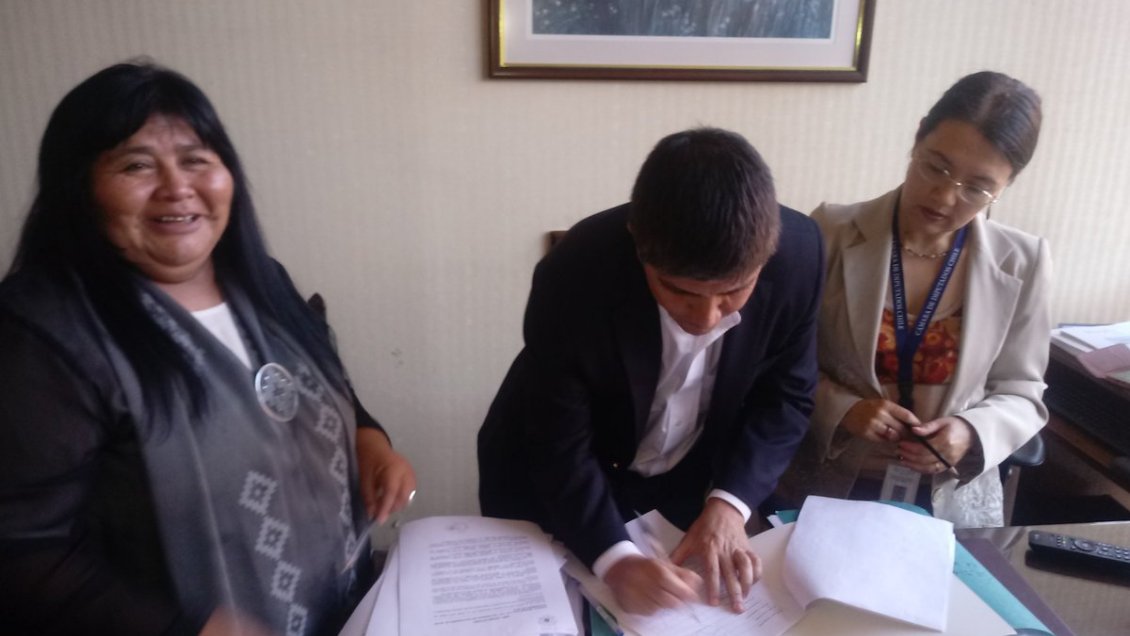 Oposición ingresó firmas para interpelación a ministro Chadwick