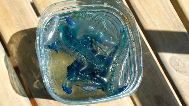 Fragata portuguesa obliga a cerrar una nueva playa del Biobío