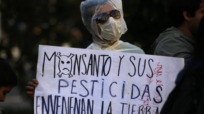 Monsanto apeló a condena que lo obliga a indemnizar a hombre que padece cáncer terminal
