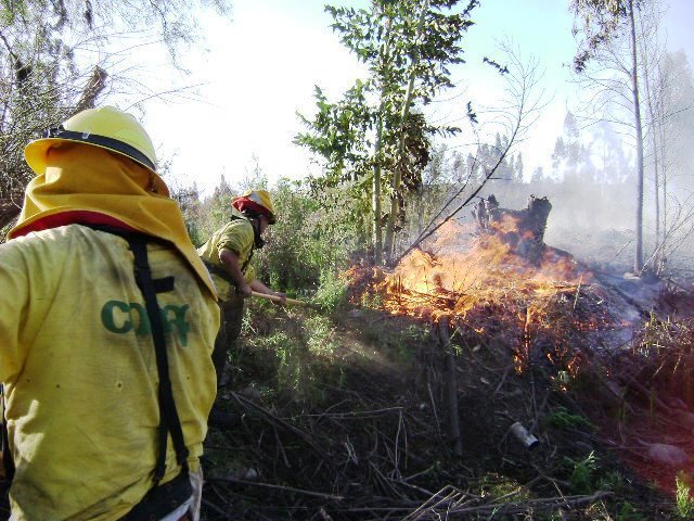 Coquimbo: Carabineros se capacitan con Conaf para enfrentar incendios forestales