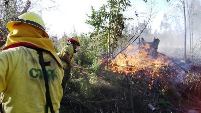 Coquimbo: Carabineros se capacitan con Conaf para enfrentar incendios forestales