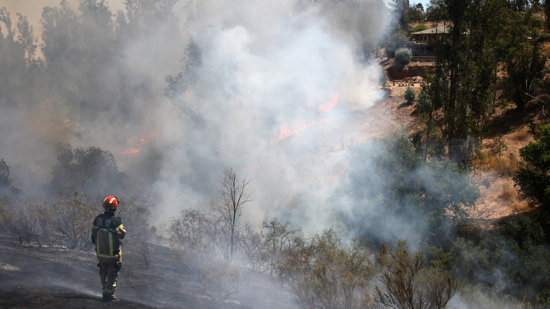 A noviembre se registraron 13 por ciento más de incendios forestales que a igual fecha del año pasado
